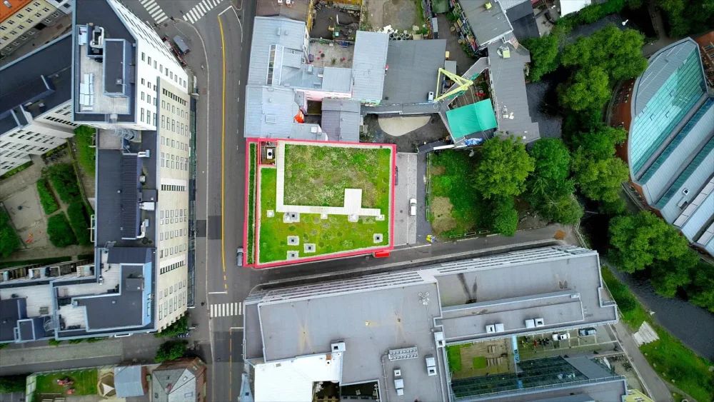 Vega Scene: skvělý příklad městské biodiverzity v praxi